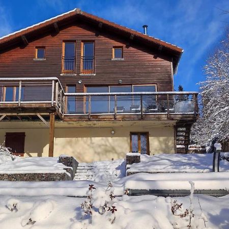 Le Cerf, Chalet Cocooning Avec Piscine Et Billard Ban-sur-Meurthe-Clefcy Экстерьер фото