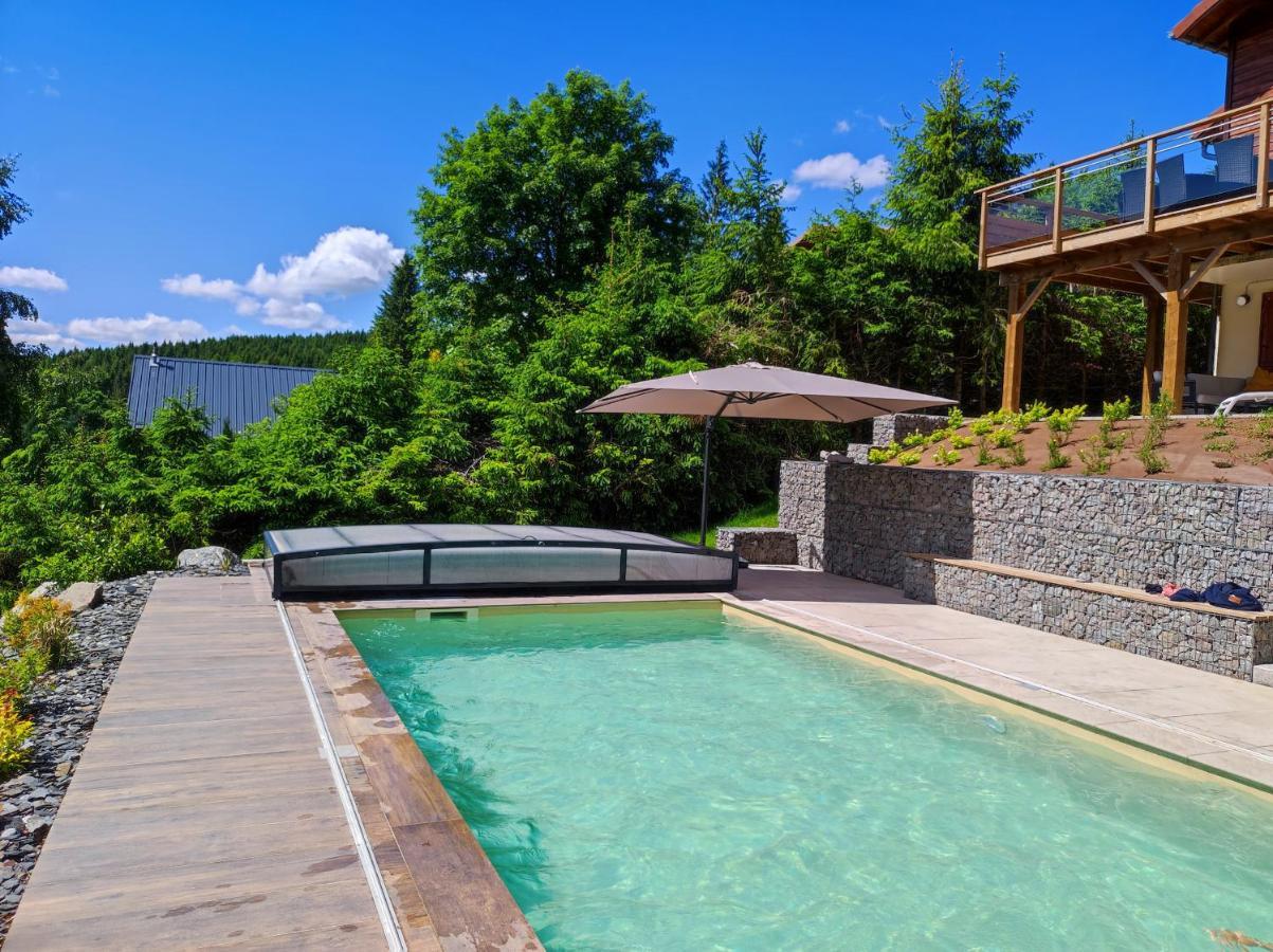 Le Cerf, Chalet Cocooning Avec Piscine Et Billard Ban-sur-Meurthe-Clefcy Экстерьер фото