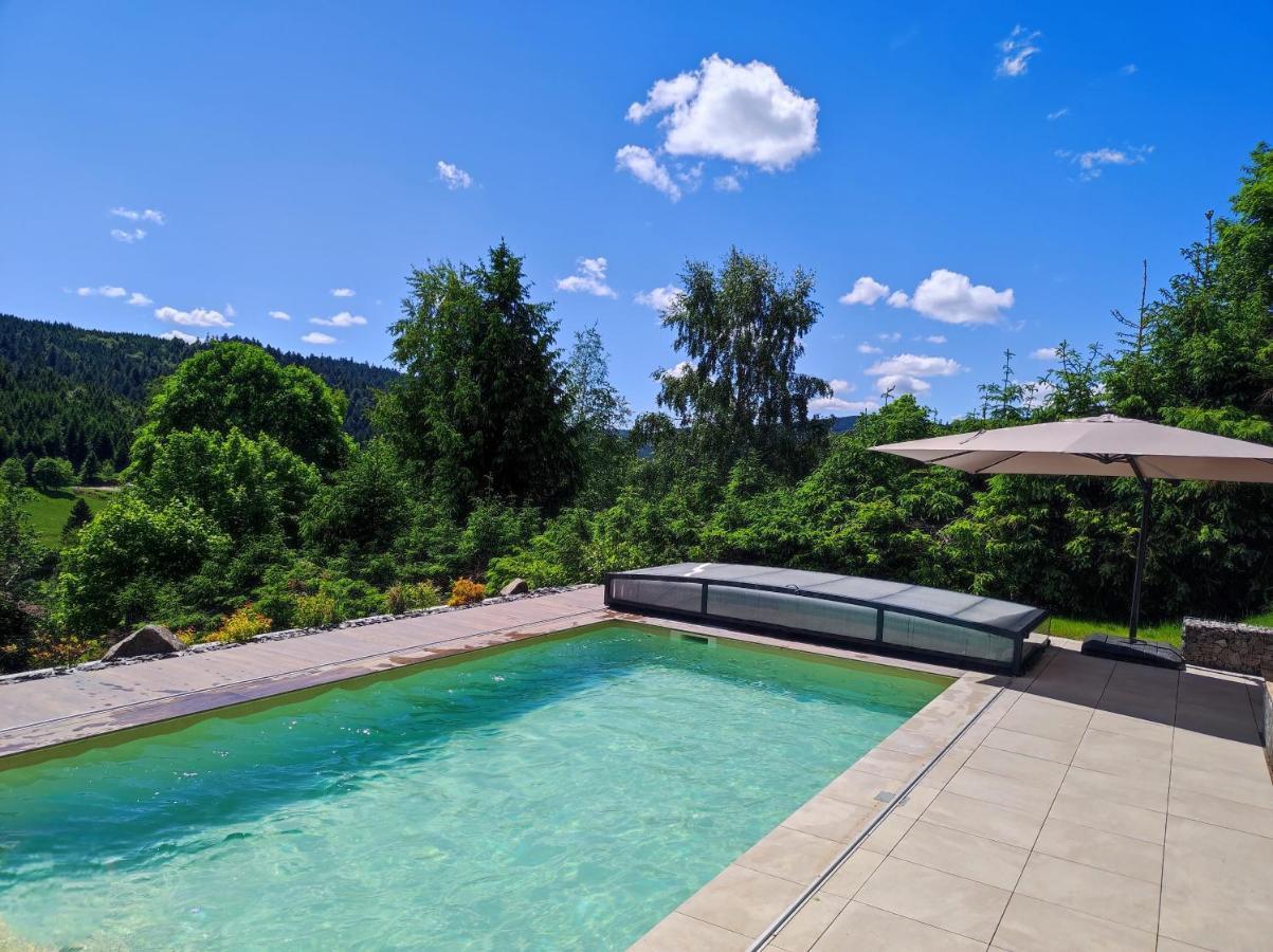 Le Cerf, Chalet Cocooning Avec Piscine Et Billard Ban-sur-Meurthe-Clefcy Экстерьер фото