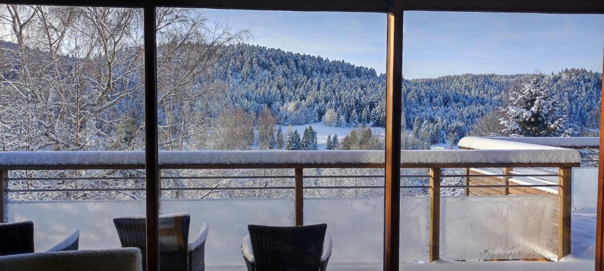 Le Cerf, Chalet Cocooning Avec Piscine Et Billard Ban-sur-Meurthe-Clefcy Экстерьер фото